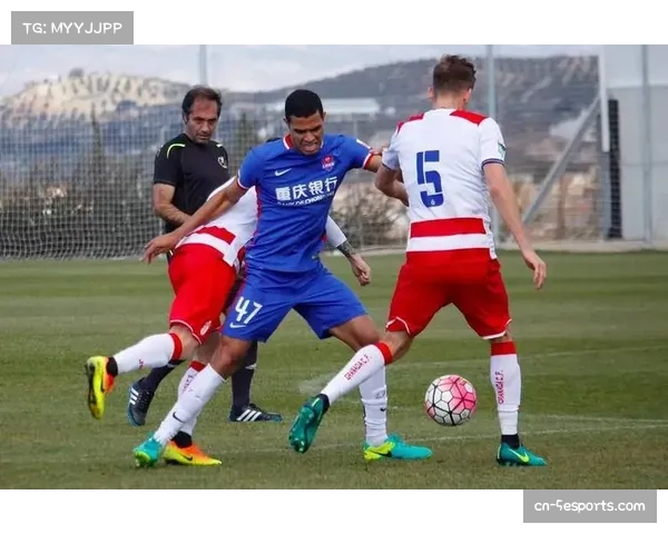 通讯：一支球队的远征——记录格拉纳达球迷前往客场的700公里旅程。